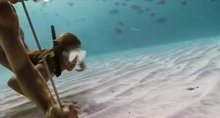 Jessica Alba underwater plot from Into The Blue (2006)