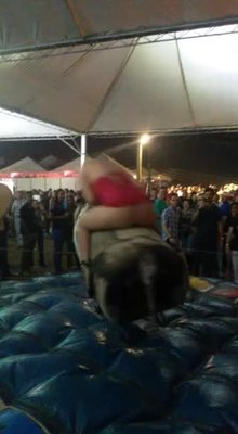 Bull riding done right