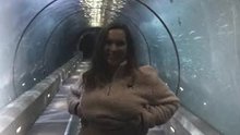 Boobies in the shark tunnel